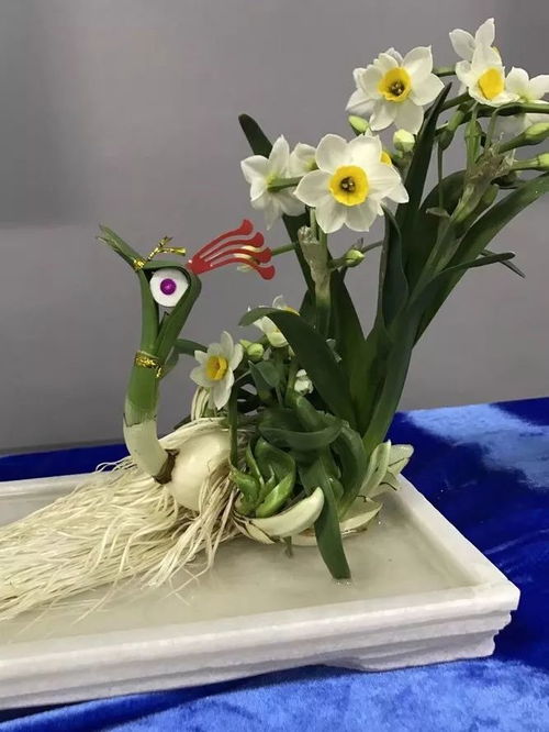 水仙花雕刻方法有哪些？教你几招雕出漂亮水仙花