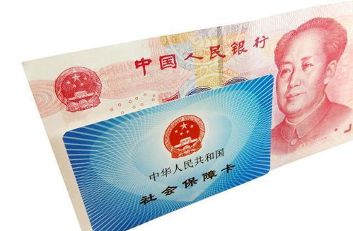 双重保险， 保障农业可持续发展