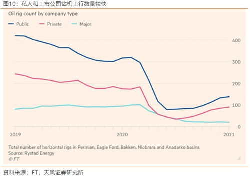 2024年姜价预测中，未来两年姜价走势如何，受哪些因素影响？