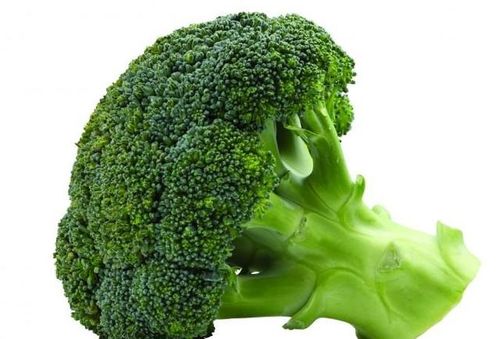 一、 秋季西兰花的种植时间