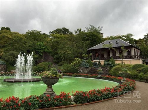 城市生态公园设计：和谐共生的魅力探索