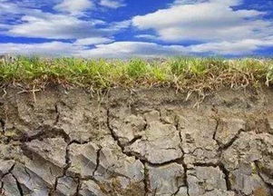 影响一：土壤污染