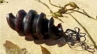 螺旋上升：生长的力量