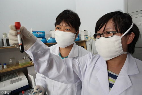 猪场蓝耳防控，如何应对不同感染压力