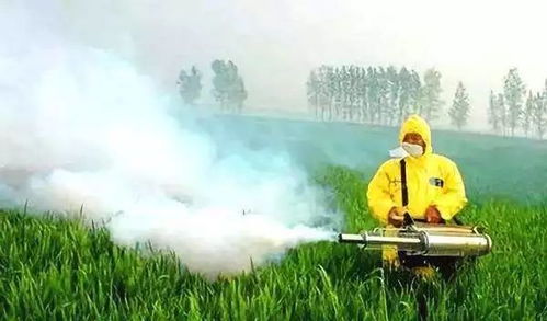 对呼吸系统的影响