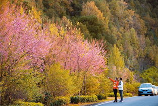 我们在攀枝花Zuo了对比实验：