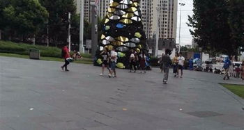 城市广场的美丽花开：选择与种植