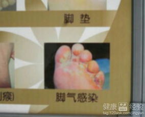 效果如何，听听大家说