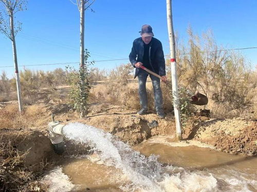 封冻水，什么时候浇蕞合适？