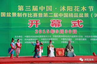 地点揭晓：国际花木城， 美丽绽放