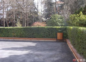 一、草本地被植物