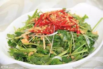 13. 辣椒籽撒下后便会从地下冒出棵棵嫩黄的芽