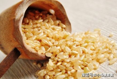 想减肥就吃这几种粗粮？玉米、燕麦、糙米