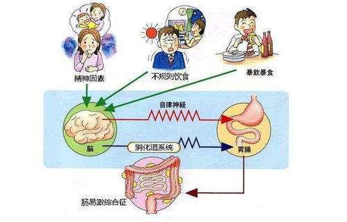 腹泻患者忌食动物油，因易加重病情