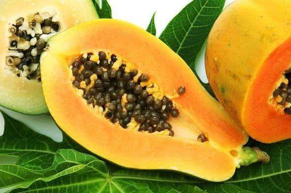 木瓜的秘密花园