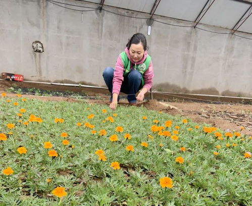 如何让花草茁壮成长？