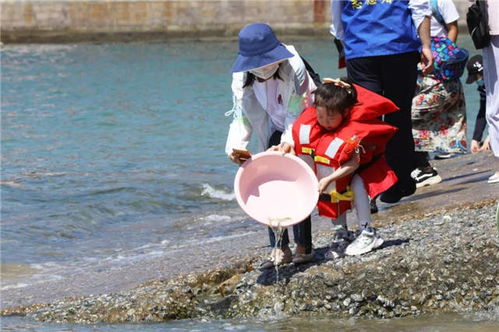 山东威海市每年放流10万尾松江鲈鱼