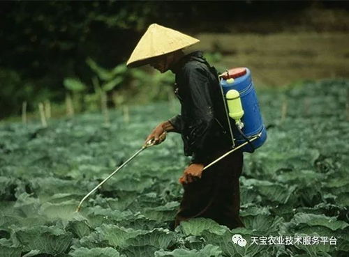 灌农药，Neng根治病虫害吗？