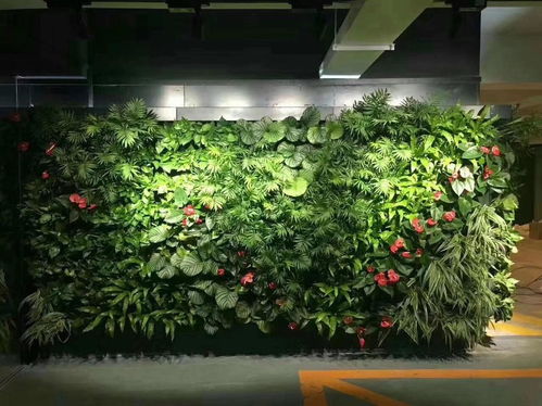 绿化带里的植物， 真是大自然的馈赠