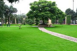 品牌大成园林：历史悠久， 实力雄厚