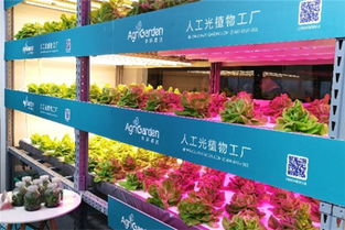 防治对象大盘点