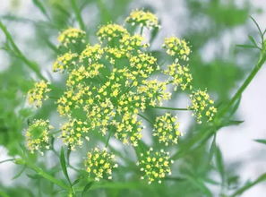 养护避坑指南：三大要点