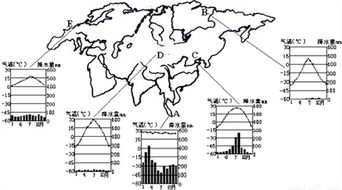 红土地区土壤特性探究，分析适宜种植植物类型