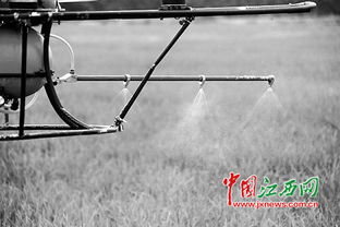 无人机喷洒农药，这招儿真牛！