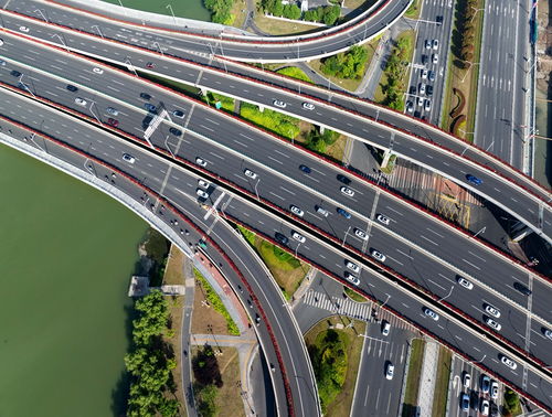 江苏高速路旁的花儿，只是装饰吗？