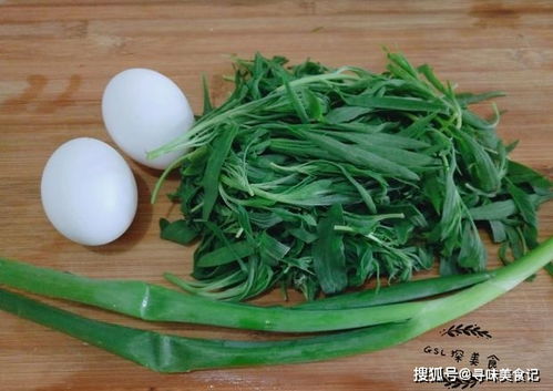 五月阳台种什么菜好？