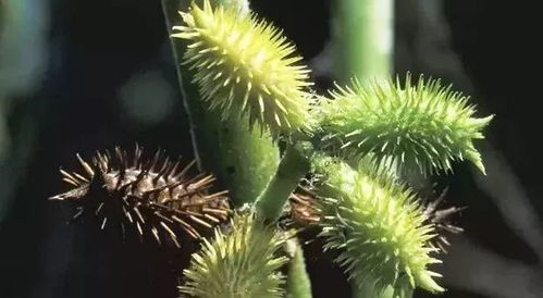 精准控温， 提升产量30%