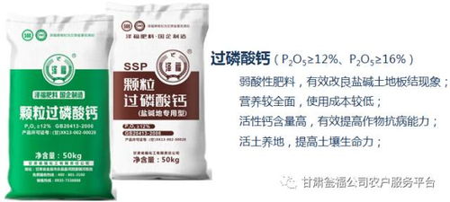 农药，那些让人头疼的家伙