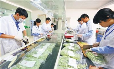 三亚农药残留检测公司大揭秘