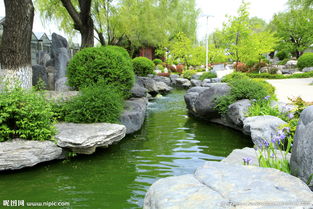 园林中的石头之美
