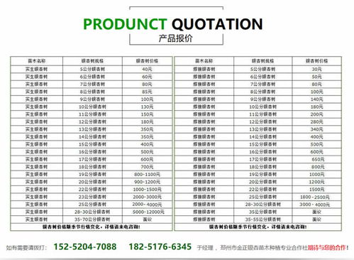 银杏树的价格影响因素