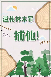 光头强的绿色森林守护记：爱与补偿