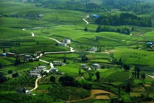 荷兰等欧洲国家苗圃的发展