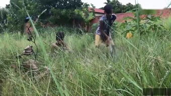 有没有种下去就不用管的“佛系草”呢？