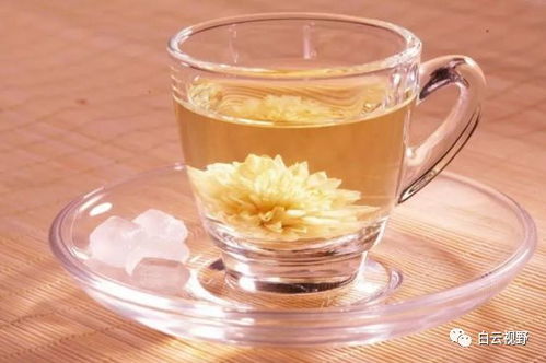 菊花清热解毒，你知道怎么用它泡茶吗