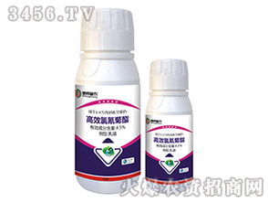 上海寻高效环保杀虫剂：哪里买Zui靠谱？