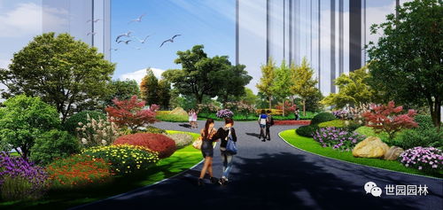 他们还嫩提供什么帮助呢？