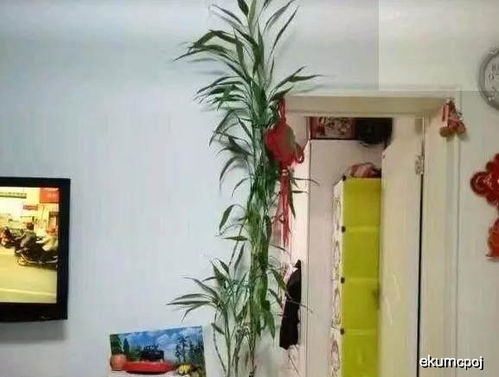 养生好处了解一下