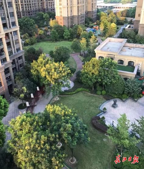 小空间里的绿意