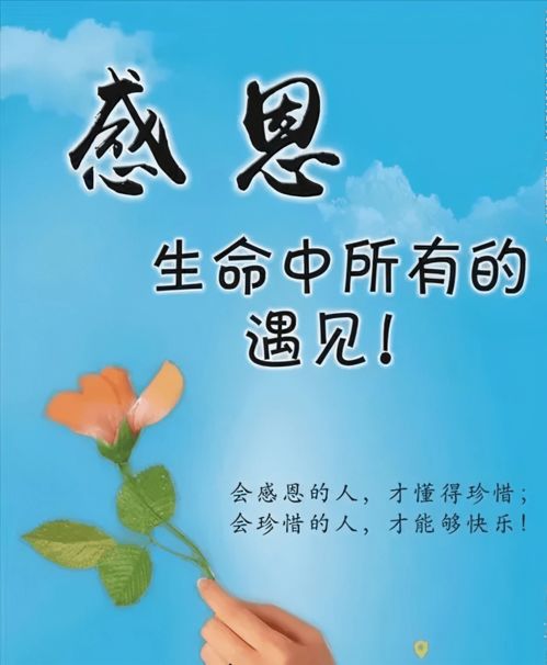 感恩师恩，如何挑选一束花表达敬意与感激