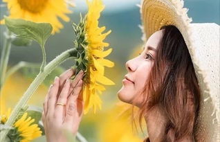 遗憾之花中，那段深情表达中的遗憾与思念