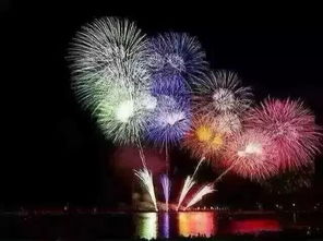 烟草花的多重面貌