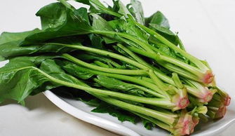 菠菜（T