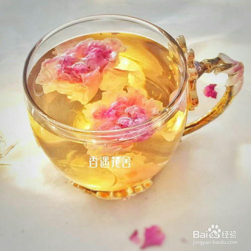 约瑟芬的玫瑰酵素