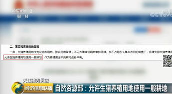 优化夏季母畜饲养管理，降低返情率