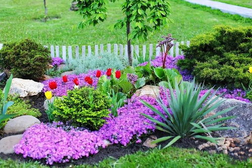 “花卉种植必看！一招轻松测土壤酸碱度！”